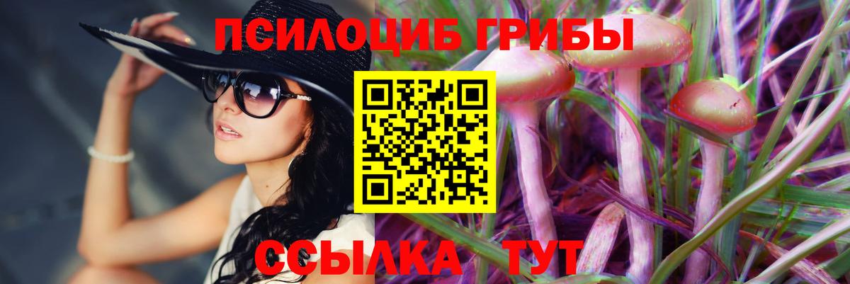 Псилоцибиновые грибы Psilocybine cubensis  Вход с VPN  Петропавловск-Камчатский 
