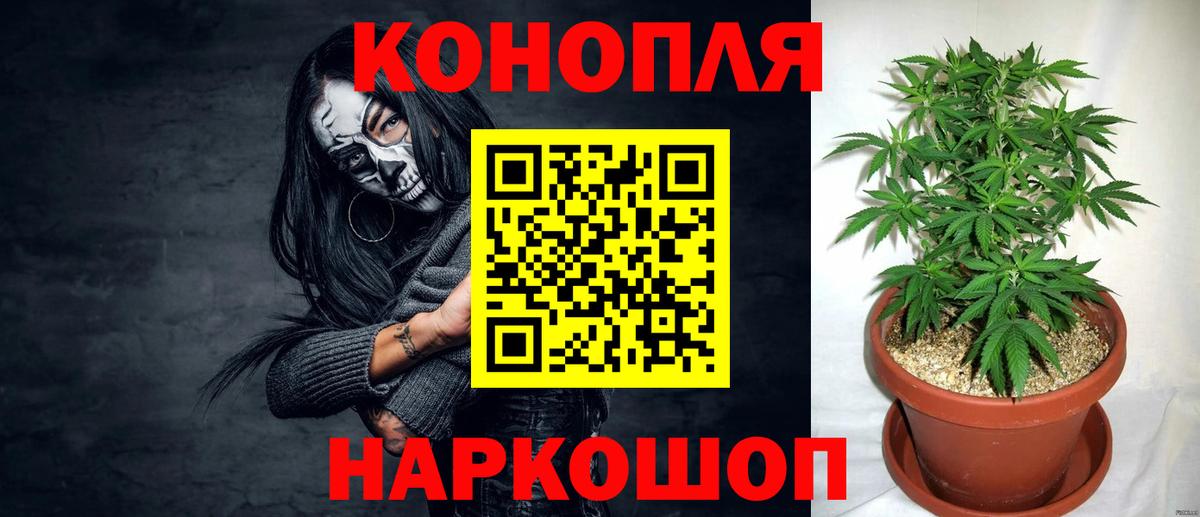 МАРИХУАНА OG Kush Петропавловск-Камчатский